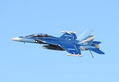 Hornet2.JPG (42.1 KiB) Viewed 3541 times Hornet2.JPG