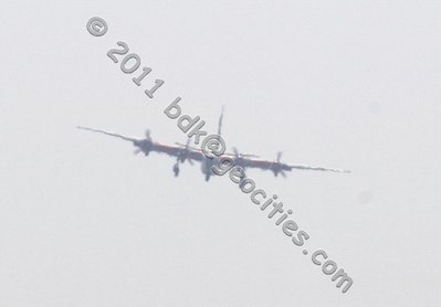 IMG_9317a.jpg