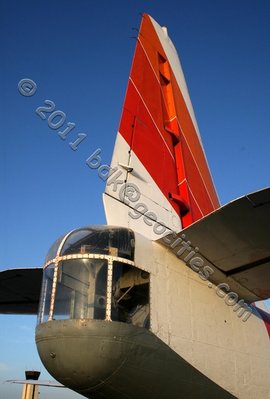 IMG_9366a.jpg