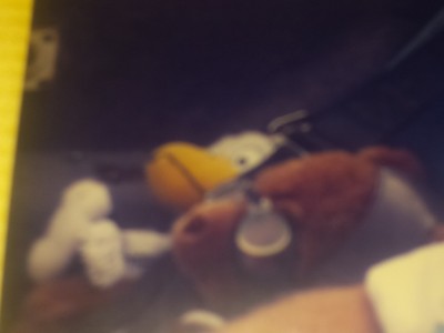 20180922_182015.jpg