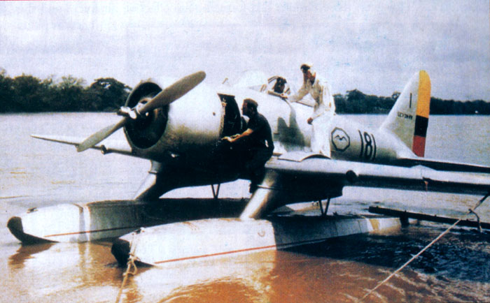 Sev-3.JPG