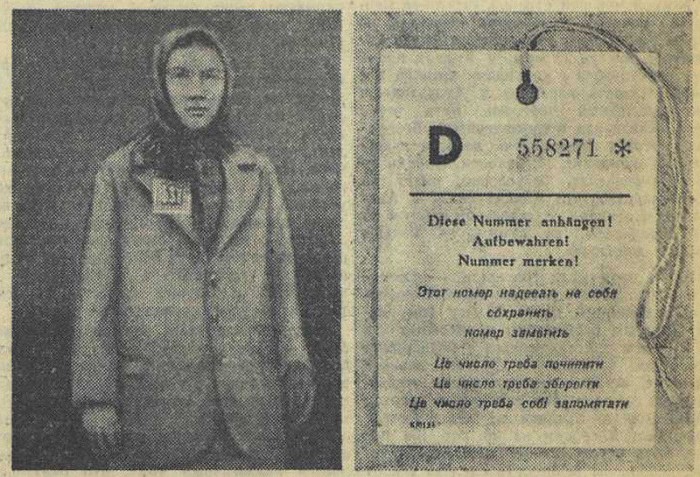 tag example.jpg