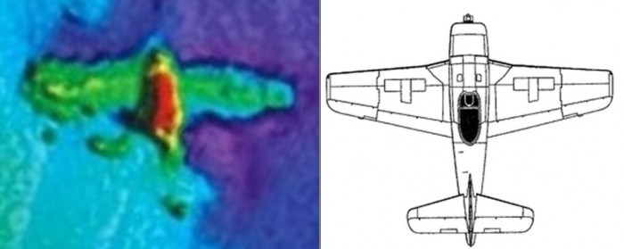 Bearcat comparison.jpg