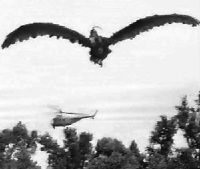 Giant-Claw-1957-movie-Katzman-c.jpg