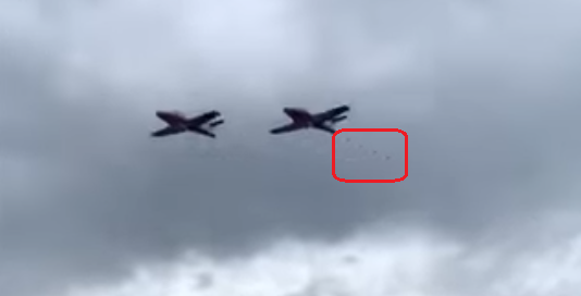 snowbird.png