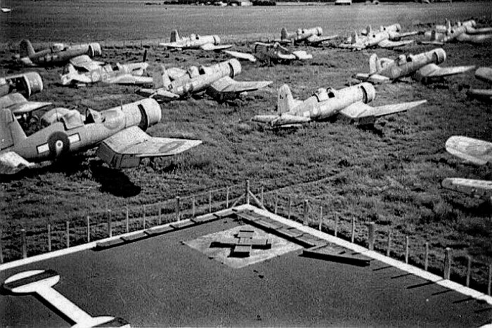 Rukuhia I.JPG