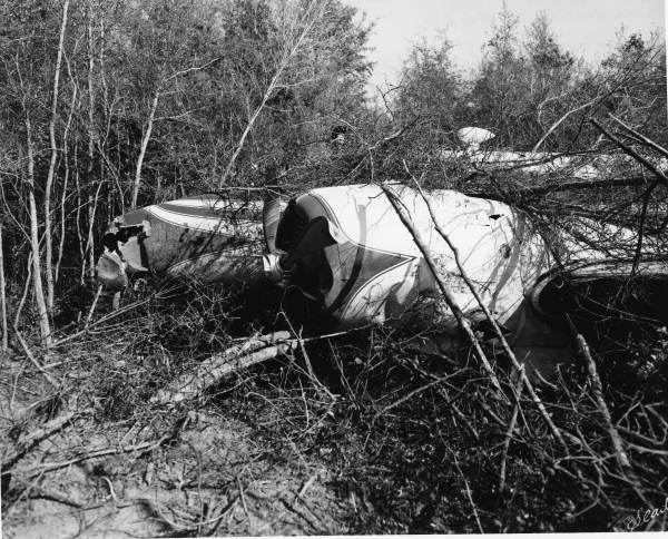 TFD0193.jpg