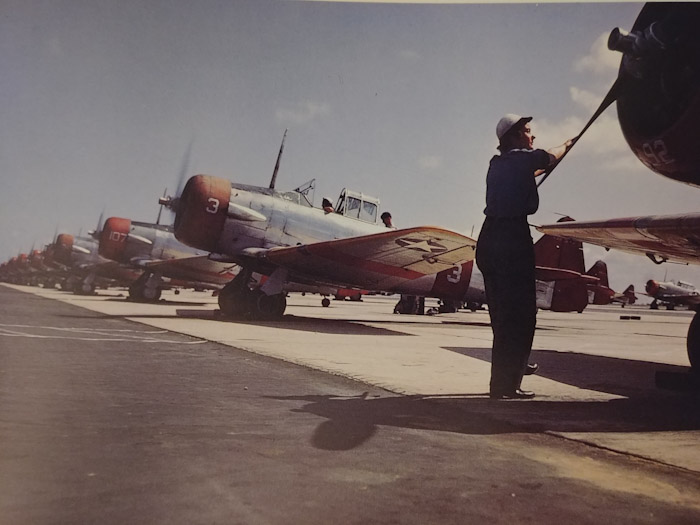 PSX_20201107_102939[1].jpg