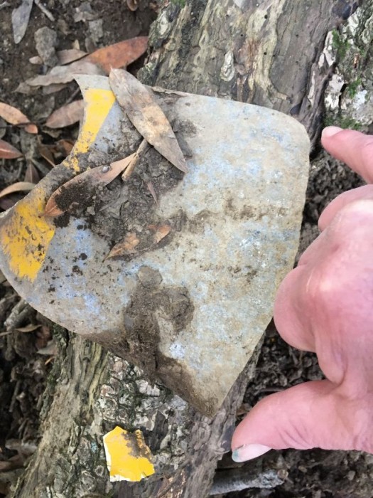 wreck prop tip.jpg