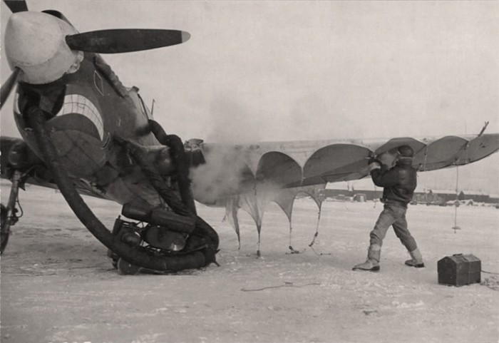 CHICKENHAWK.jpg (75.96 KiB) Viewed 2056 times CHICKENHAWK.jpg