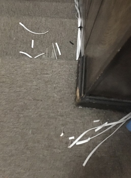 7C1B626A-B771-4D93-9E40-697265E8791E.jpeg (984.69 KiB) Viewed 2216 times 7C1B626A-B771-4D93-9E40-697265E8791E.jpeg