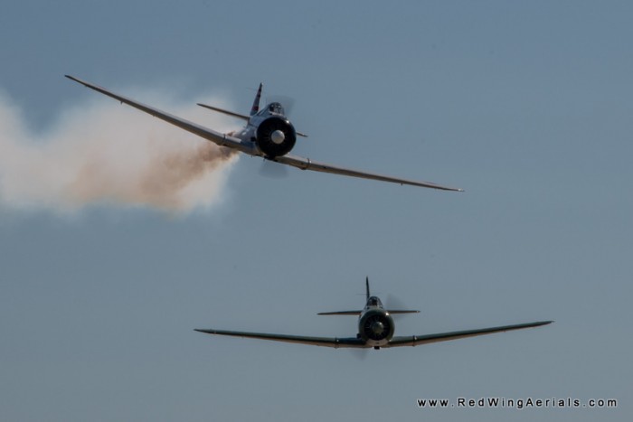 RED_5021-2.jpg