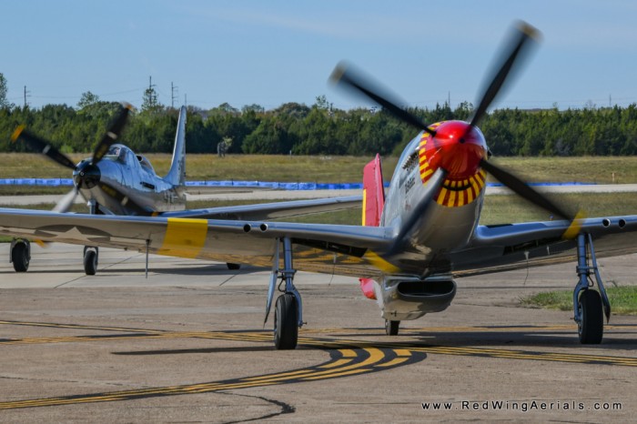 DSC_8487-1.jpg