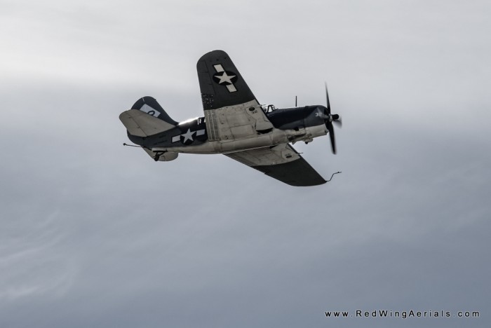 DSC_8842.jpg