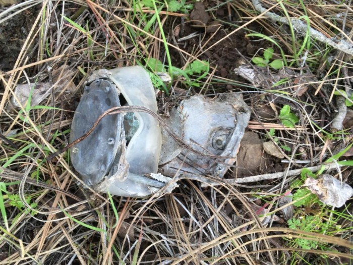 IMG_7035.jpeg (187.69 KiB) Viewed 7816 times IMG_7035.jpeg