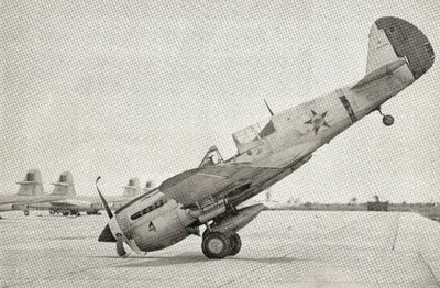 Brazilian P-40.jpg