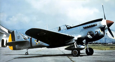 BrazilianP-40N003a.jpg