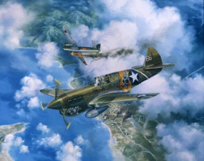 P40-WEB.jpg