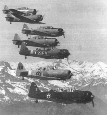 western_warbirds.jpg