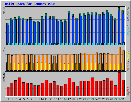 Daily usage for January 2022