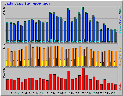 Daily usage for August 2024