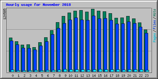 Hourly usage for November 2018