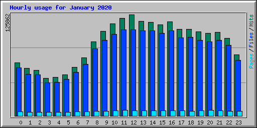 Hourly usage for January 2020