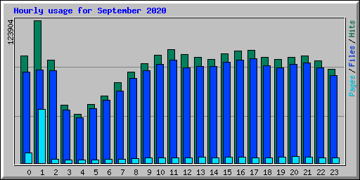 Hourly usage for September 2020