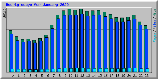 Hourly usage for January 2022