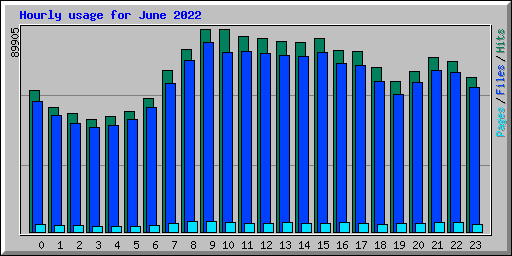 Hourly usage for June 2022