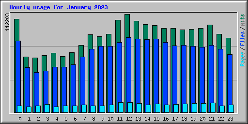 Hourly usage for January 2023