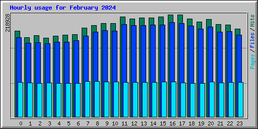 Hourly usage for February 2024