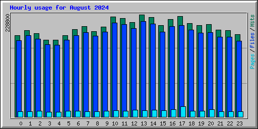Hourly usage for August 2024