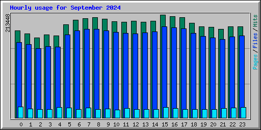 Hourly usage for September 2024