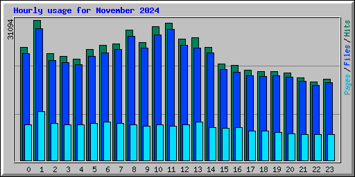 Hourly usage for November 2024